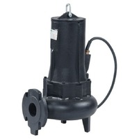 Sea-Land DV 25/300 T2