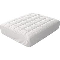 Sealy Protective Comfort